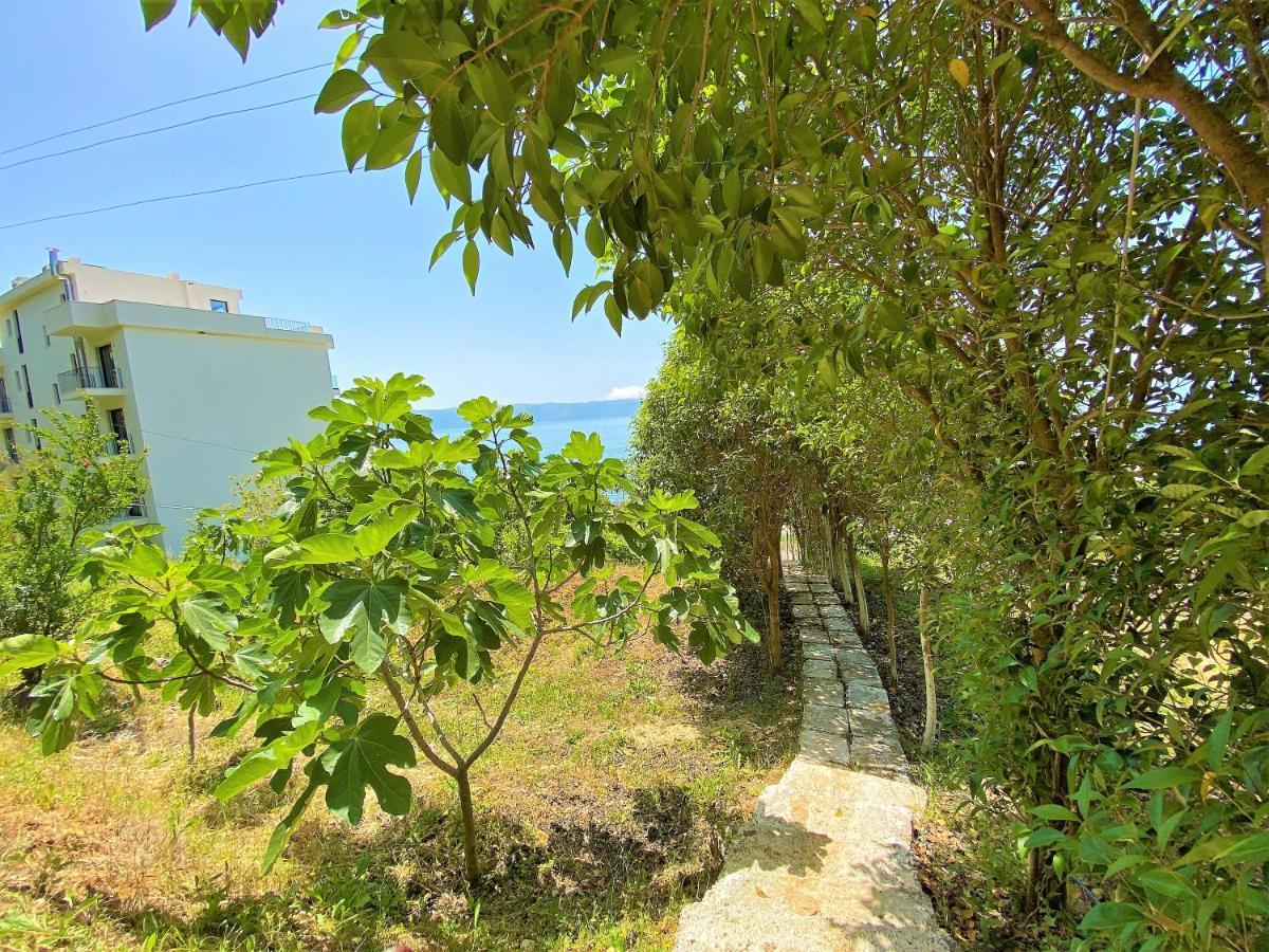 Ramo'S Hilltop Retreat With Kitchenette And Patio - 1St Vlorë Esterno foto