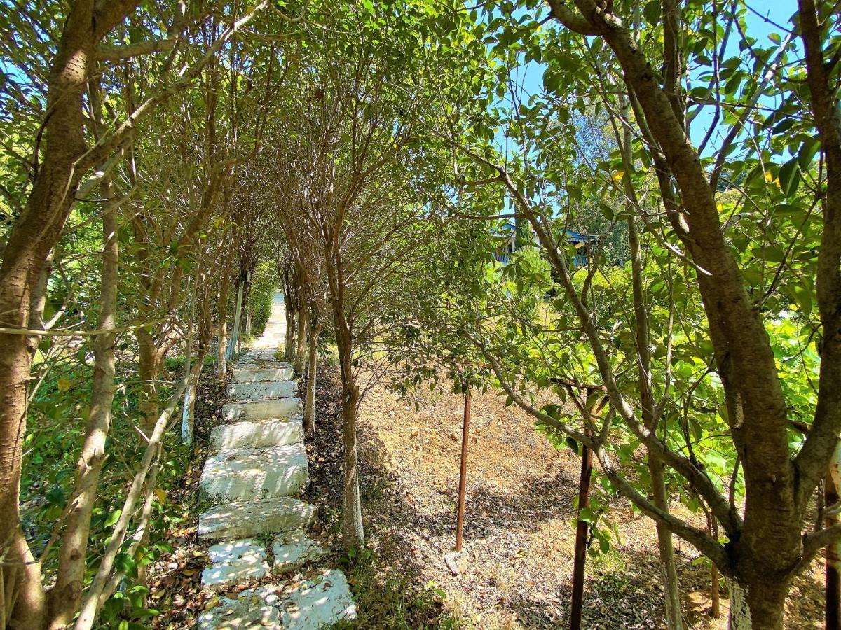 Ramo'S Hilltop Retreat With Kitchenette And Patio - 1St Vlorë Esterno foto